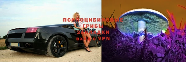 apvp Волосово