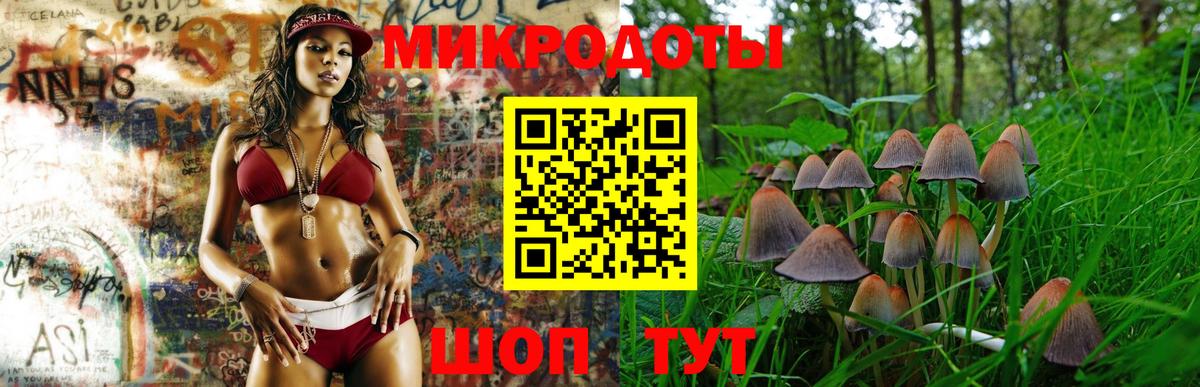 Галлюциногенные грибы Psilocybe  Вход с VPN  Назарово  Галлюциногенные грибы Psilocybe 
