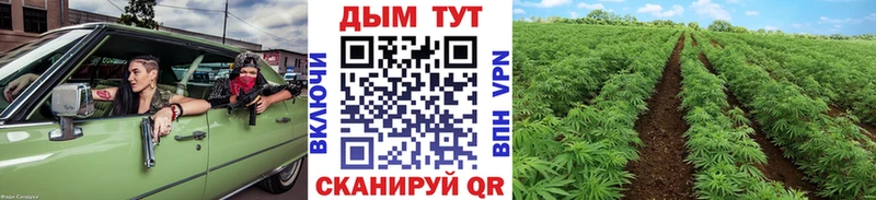 Конопля семена  Назарово 